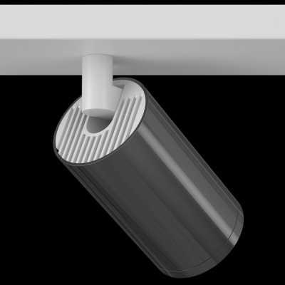 Спот Maytoni FOCUS S C051CL-2WGF