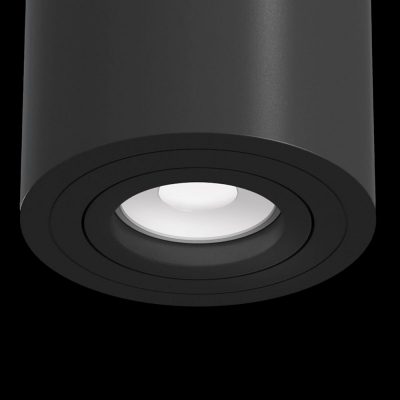 Накладной светильник Maytoni Alfa C016CL-01B