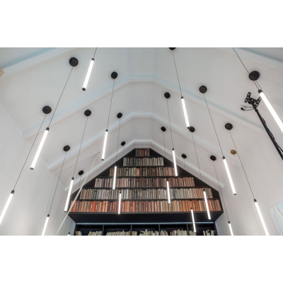 Подвесной светодиодный светильник Maytoni Ray P021PL-L10B