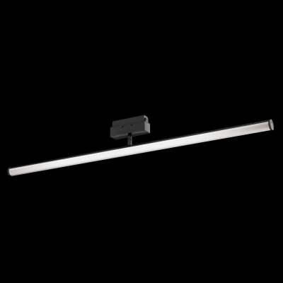 Трековый светодиодный светильник Maytoni Lark TR026-2-14B4K