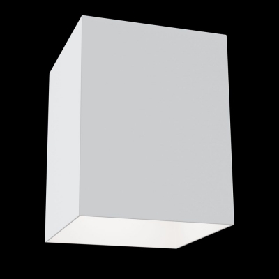 Накладной светильник Maytoni Alfa C015CL-01W Накладной светильник Maytoni Alfa C015CL-01W