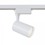 Трековый светодиодный светильник Maytoni Track lamps TR003-1-6W4K-W