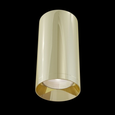Накладной светильник Maytoni Alfa C010CL-01G
