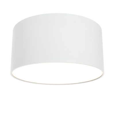 Потолочный светодиодный светильник Maytoni Zon C032CL-L12W3K