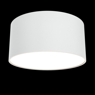 Потолочный светодиодный светильник Maytoni Zon C032CL-L12W3K