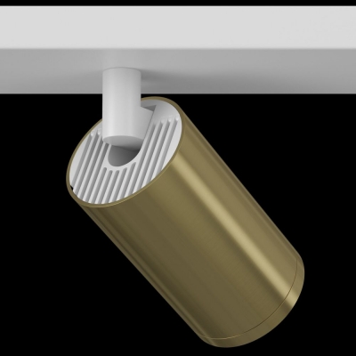 Спот Maytoni FOCUS S C051CL-2WBS