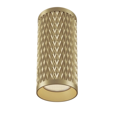 Накладной светильник Maytoni Alfa C036CL-01G