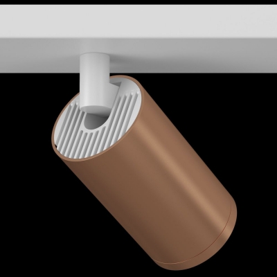 Спот Maytoni FOCUS S C051CL-2WC