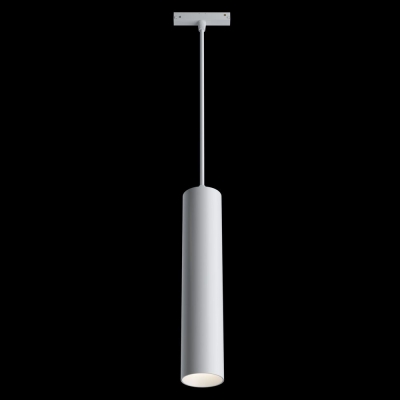 Трековый светодиодный светильник Maytoni Track lamps TR016-2-12W4K-W