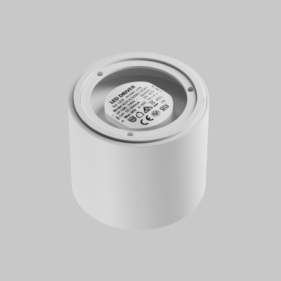 Потолочный светильник Maytoni Lens C217CL-15W3K-W