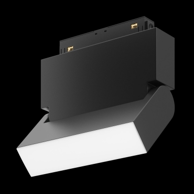 Трековый светильник Maytoni BASIS TR013-2-10W3K-B