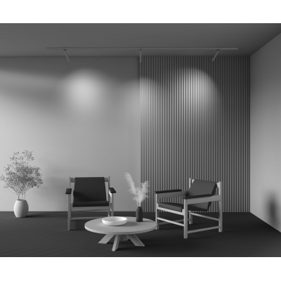 Трековый светильник Maytoni Focus T TR141-1-6W3K-M-W