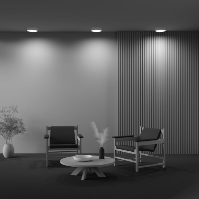 Потолочный светильник Maytoni Zon C032CL-24W4K-RD-W Потолочный светильник Maytoni Zon C032CL-24W4K-RD-W