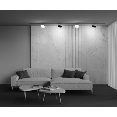 Трековый светильник Maytoni Plato TR131-2-15W3K-B