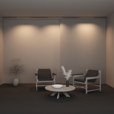 Трековый светильник Maytoni Points TR174-1-24WTW-M-B