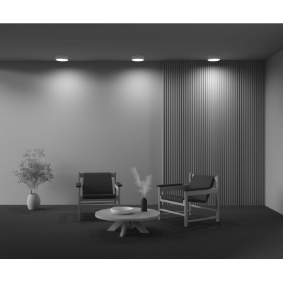 Потолочный светильник Zon C032CL-24W3K-RD-MG Потолочный светильник Zon C032CL-24W3K-RD-MG