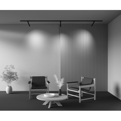 Трековый светильник Maytoni Focus T TR141-1-6W4K-M-B