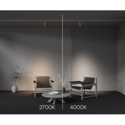 Трековый светильник Maytoni Focus Zoom TR198-3-20W2.7K-Z-W Трековый светильник Maytoni Focus Zoom TR198-3-20W2.7K-Z-W