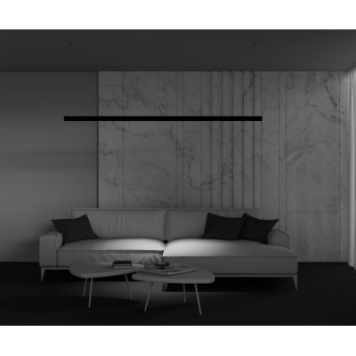 Трековый светильник Maytoni Points TR031-2-12W2.7K-B