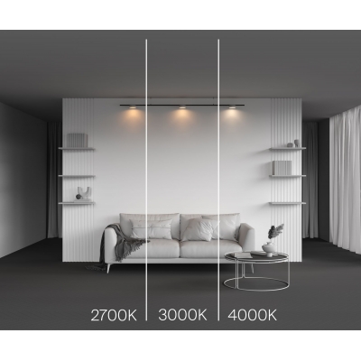 Трековый светильник Maytoni Zon TR189-1-12W4K-BW