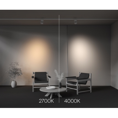 Трековый светильник Maytoni Alfa TR199-3-15W2.7K-M-W