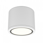Потолочный светильник Maytoni Rendo C095CL-GX53-W