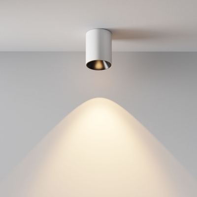 Накладной светильник Maytoni Alfa LED C064CL-8W3K-RD-WB