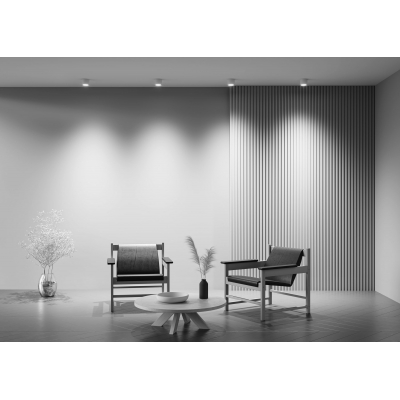 Потолочный светильник Maytoni Rendo C095CL-GX53-W Потолочный светильник Maytoni Rendo C095CL-GX53-W