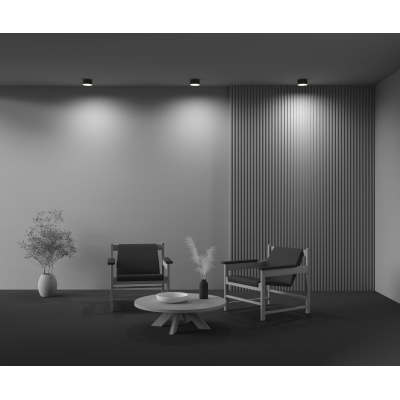 Потолочный светильник Maytoni Zon C032CL-12W2.7K-RD-B