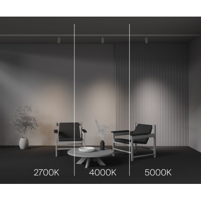 Трековый светильник Maytoni Focus Led TR197-3-12WCCT-M-W Трековый светильник Maytoni Focus Led TR197-3-12WCCT-M-W