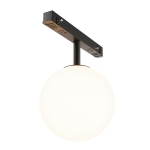 Трековый светильник Maytoni Luna TR038-2-5W3K