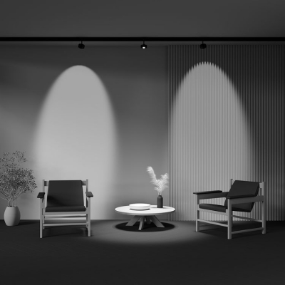 Трековый светильник Maytoni Lens TR217-4-15WTW-DS-B