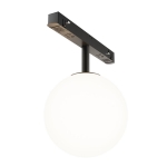 Трековый светильник Maytoni Luna TR038-2-5W4K