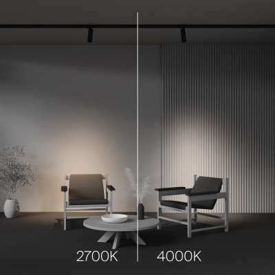 Трековый светильник Maytoni Focus Zoom TR198-3-20W2.7K-Z-B Трековый светильник Maytoni Focus Zoom TR198-3-20W2.7K-Z-B