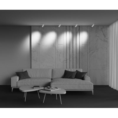 Трековый светильник Maytoni Focus Zoom TR212-4-12WTW-Z-DSZ-W Трековый светильник Maytoni Focus Zoom TR212-4-12WTW-Z-DSZ-W