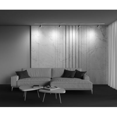 Трековый светильник Maytoni Polar TR088-1-GX53-S