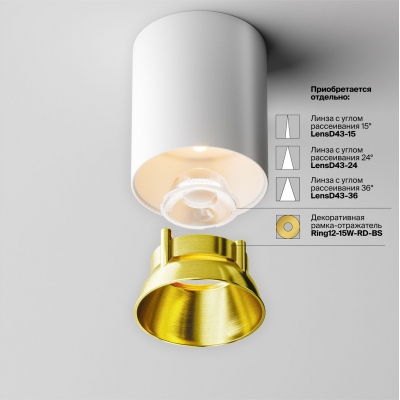 Накладной светильник Maytoni Alfa LED C064CL-12W3K-RD-WB