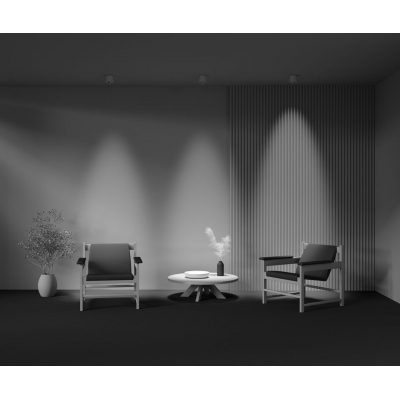 Светильник потолочный накладной Maytoni Lens C217CL-15W4K-W Светильник потолочный накладной Maytoni Lens C217CL-15W4K-W