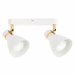 Потолочный светильник ARTE LAMP FAFNIR A5047PL-2WH