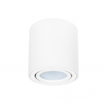 Накладной светильник ARTE LAMP BEID A1513PL-1WH