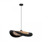 Подвесной светильник ARTE LAMP WOODSTOCK A7059SP-1BK