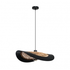 Подвесной светильник ARTE LAMP WOODSTOCK A7059SP-1BK