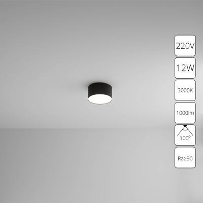 Накладной светильник ARTE LAMP FADO A7312PL-1BK