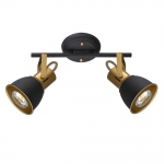 Спот ARTE LAMP JOVI A1677PL-2GO