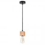 Подвесной светильник ARTE LAMP MARK A7048SP-1BK