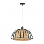 Подвесной светильник ARTE LAMP WOODSTOCK A7071SP-1BK