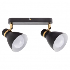 Потолочный светильник ARTE LAMP FAFNIR A5047PL-2BK