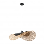 Подвесной светильник ARTE LAMP WOODSTOCK A7063SP-1BK