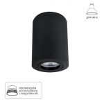 Накладной светильник ARTE LAMP SENTRY A1566PL-1BK