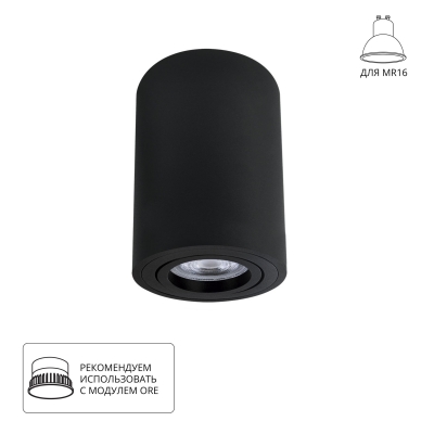 Накладной светильник ARTE LAMP SENTRY A1566PL-1BK